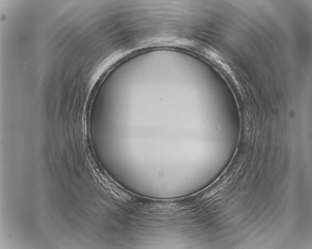 X0000058131328200510171326