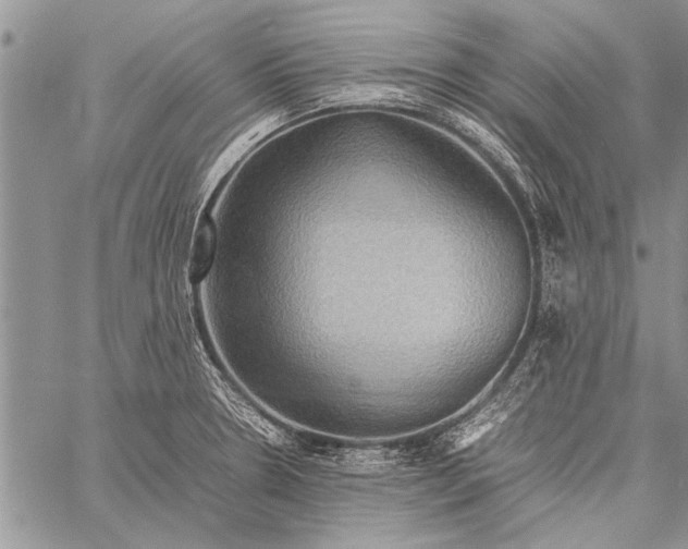 X0000058131330200510171326