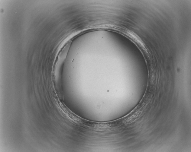 X0000058131332200510171326