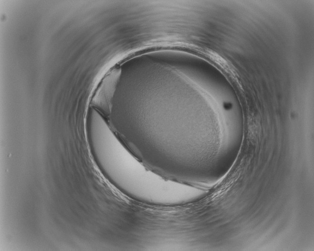 X0000058131334200510171326