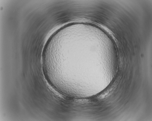 X0000058131335200510171326