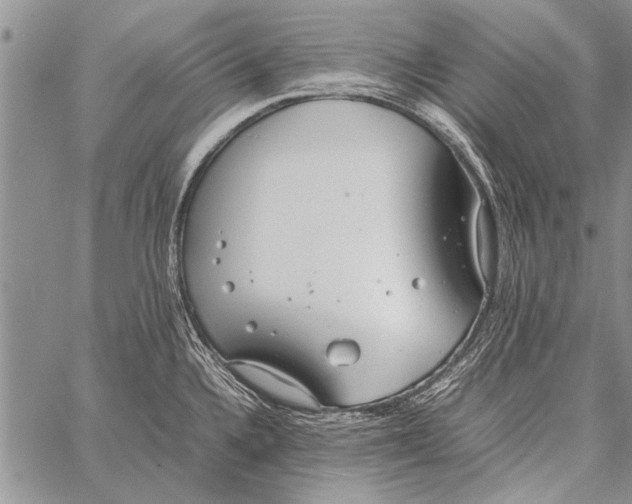 X0000058131336200510171326