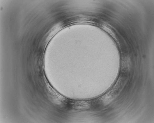 X0000058131338200510171326