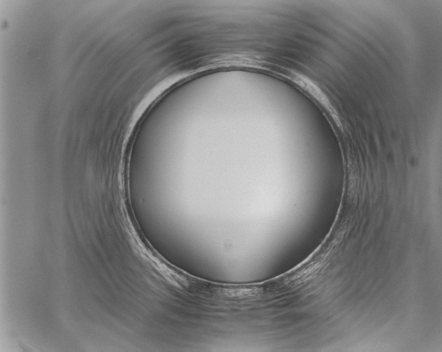 X0000058131339200510171326