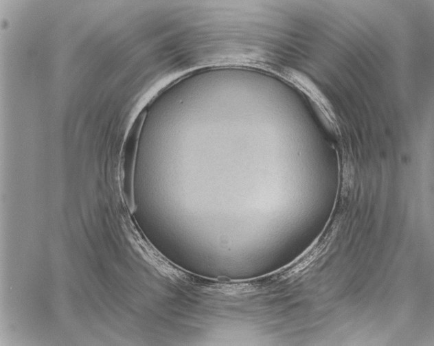 X0000058131340200510171326