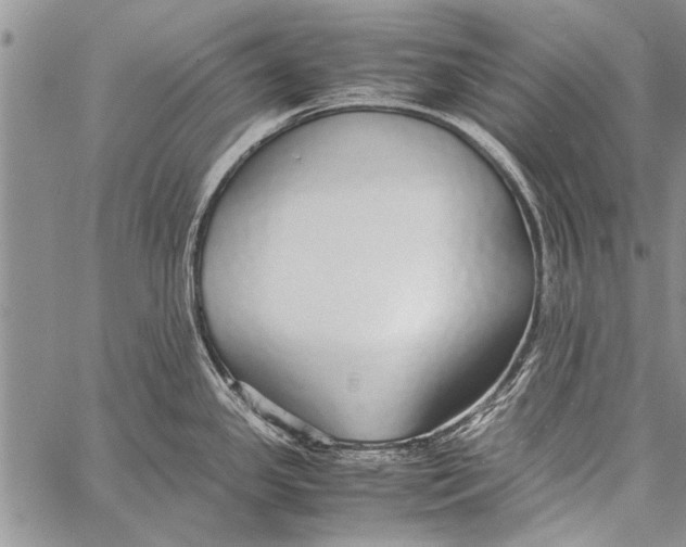 X0000058131341200510171326