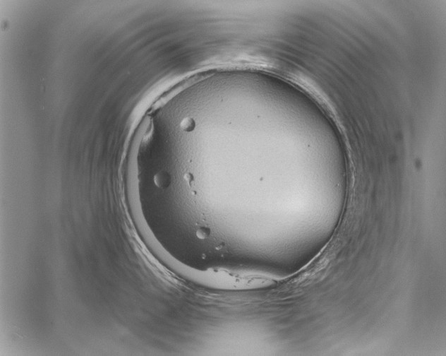 X0000058131344200510171326