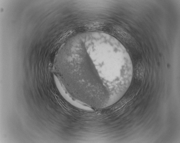 X0000058131346200510171325