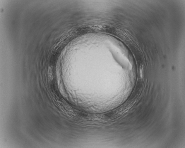 X0000058131347200510171325