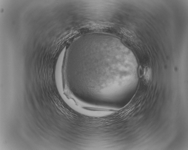 X0000058131348200510171325