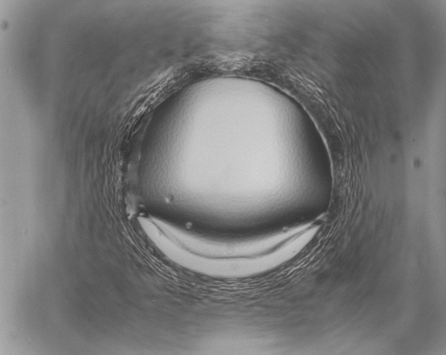 X0000058131349200510171325