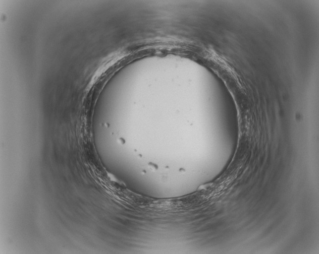 X0000058131352200510171325