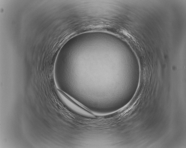 X0000058131353200510171325