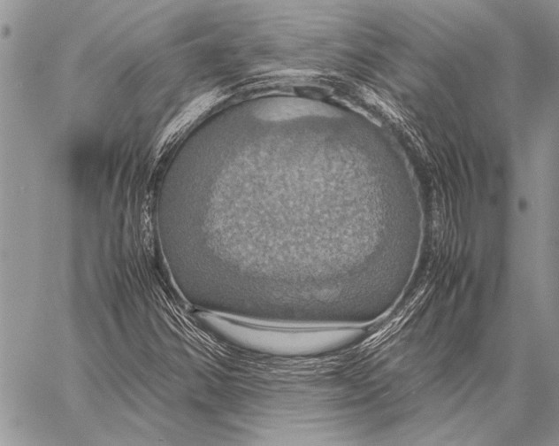 X0000058131354200510171325