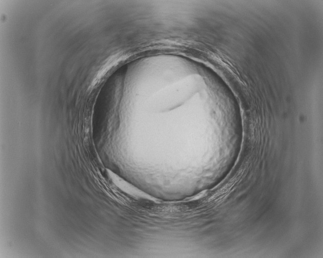 X0000058131355200510171325