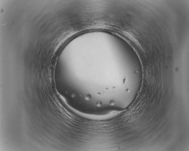 X0000058131356200510171325