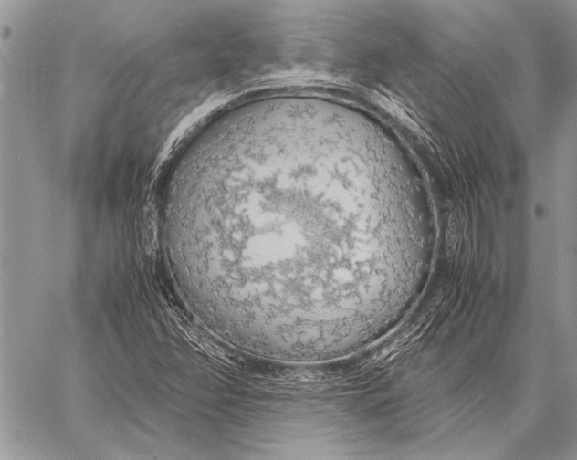 X0000058131358200510171325