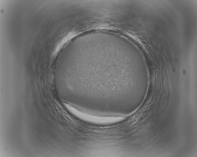 X0000058131359200510171325