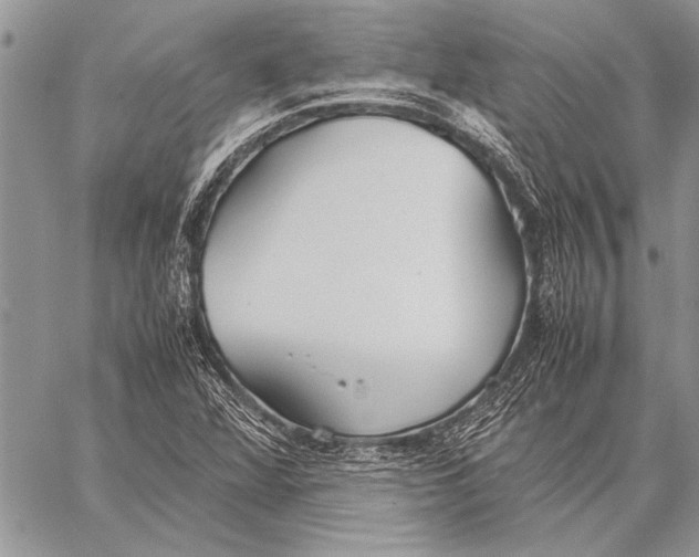 X0000058131360200510171325