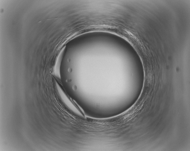 X0000058131361200510171325