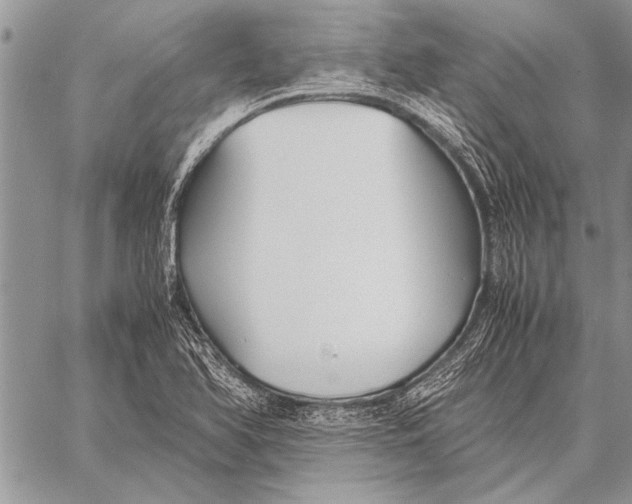 X0000058131366200510171325