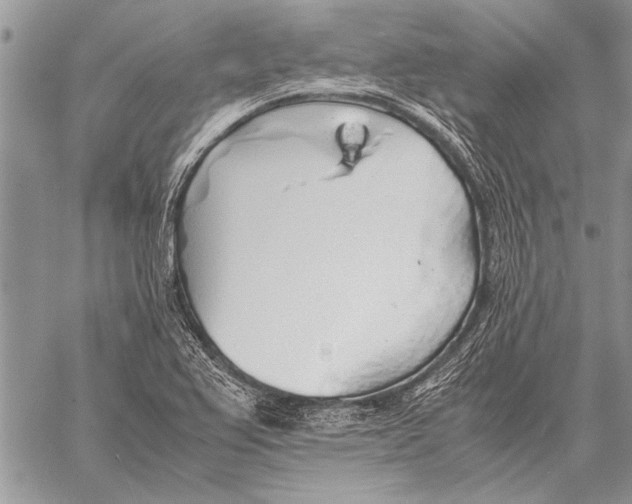 X0000058131367200510171325