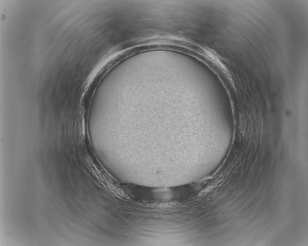 X0000058131368200510171325