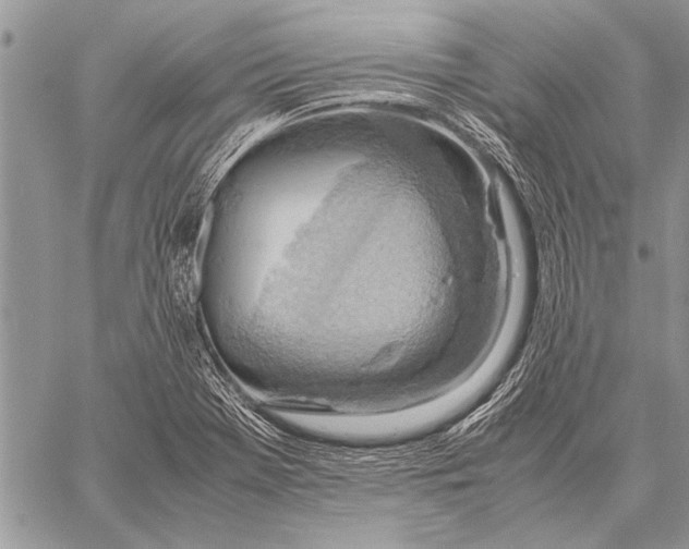 X0000058131369200510171325