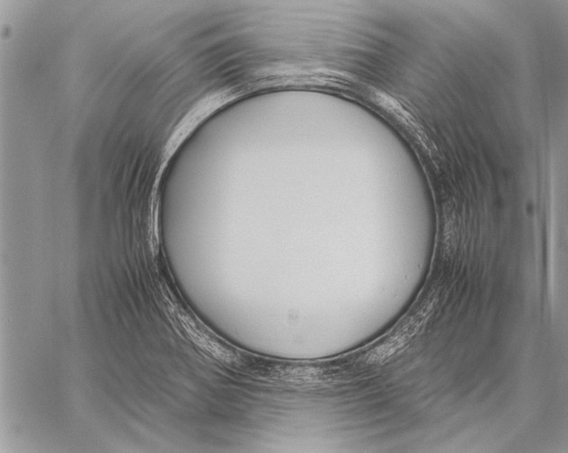 X0000058131370200510171325