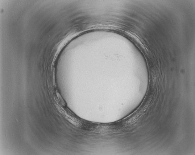 X0000058131371200510171325