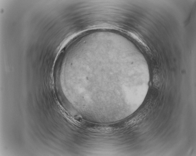 X0000058131372200510171325