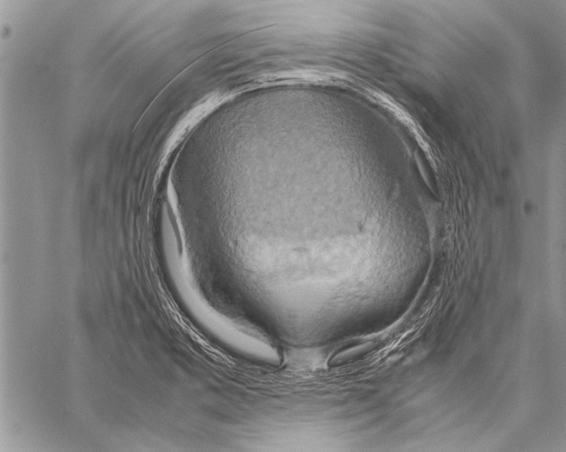 X0000058131373200510171325