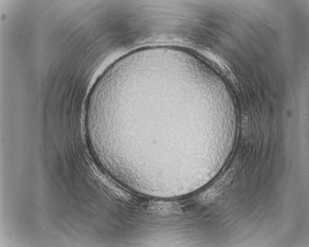 X0000058131374200510171325