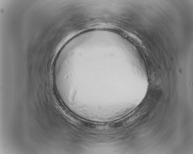 X0000058131375200510171325