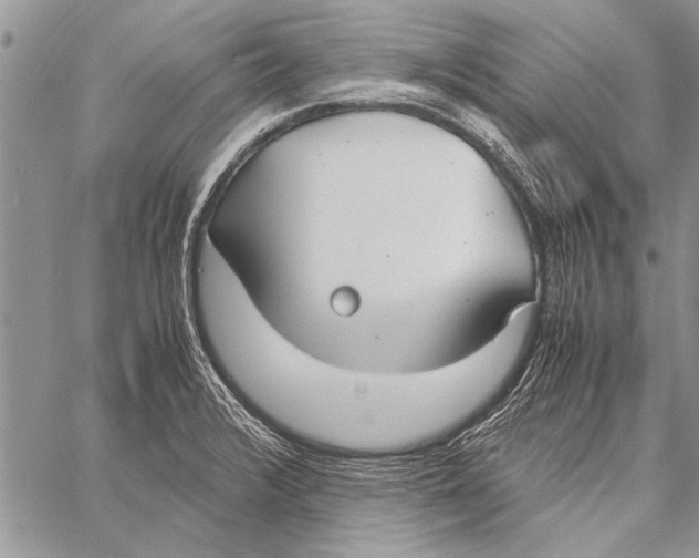 X0000058131376200510171325