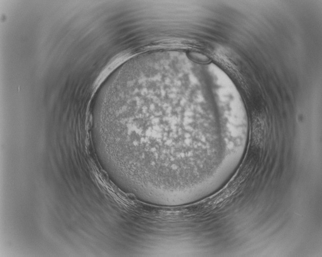 X0000058131378200510171325