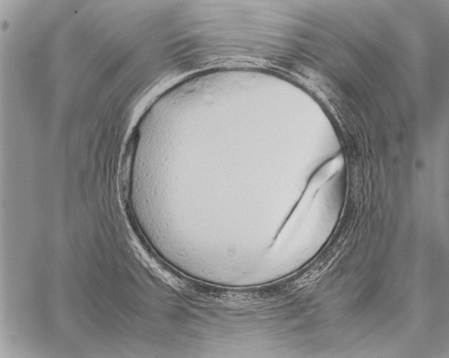 X0000058131379200510171325