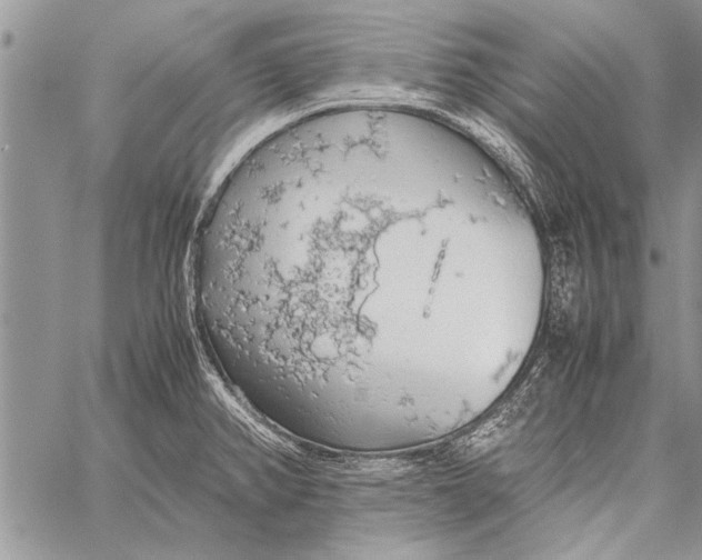 X0000058131382200510171325