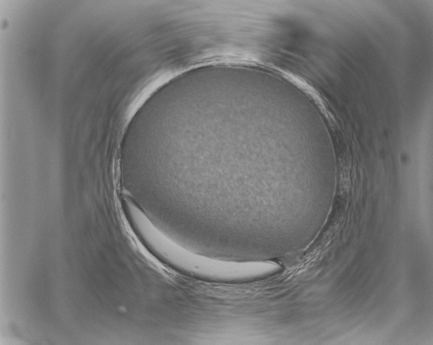 X0000058131383200510171325