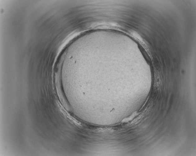 X0000058131384200510171325