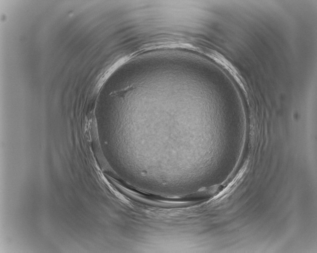 X0000058131385200510171325