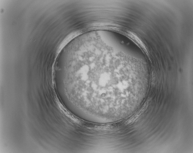 X0000058131386200510171325