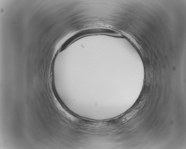 X0000058131387200510171325