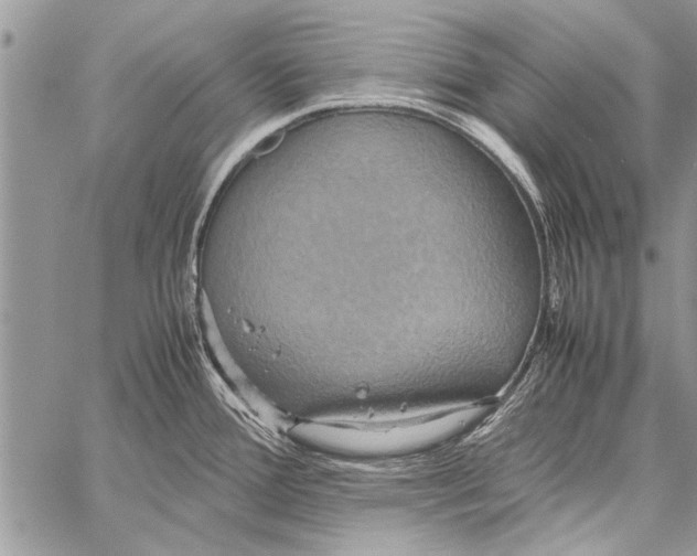 X0000058131388200510171325