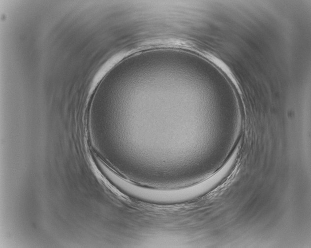 X0000058131389200510171325