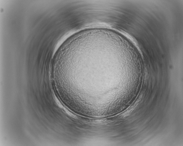 X0000058131390200510171325