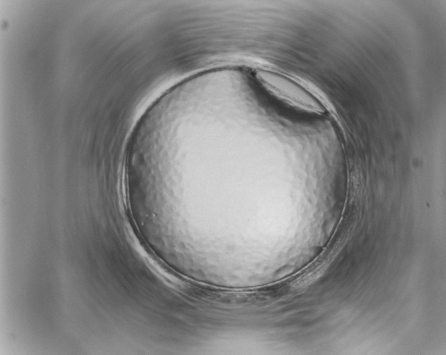 X0000058131391200510171325