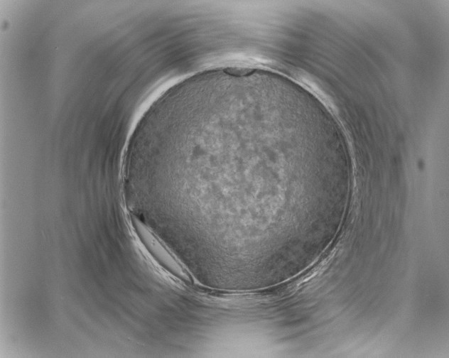 X0000058131392200510171325