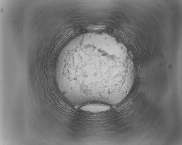 X0000058131393200510171324