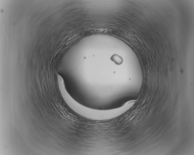 X0000058131394200510171324